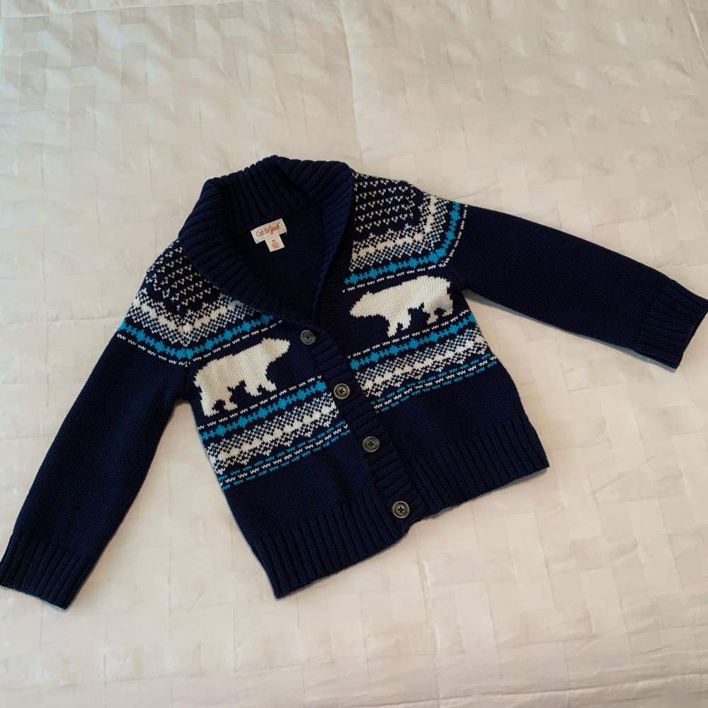 Toddler Boy Holiday Sweater